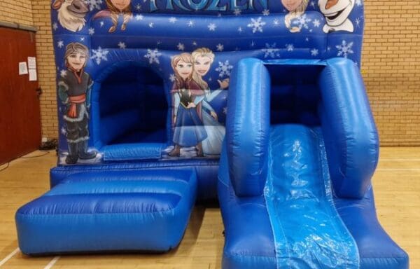 Frozen Castle With Slide