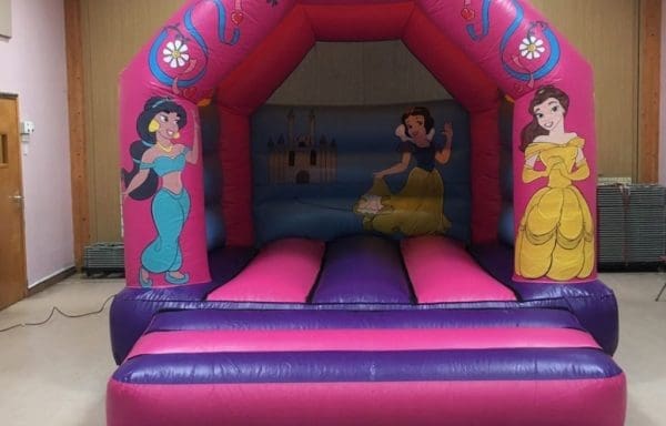 Disney Princess Castle