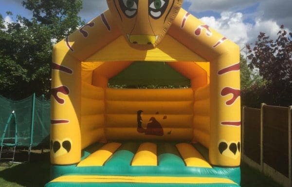 Adult Tiger Castle