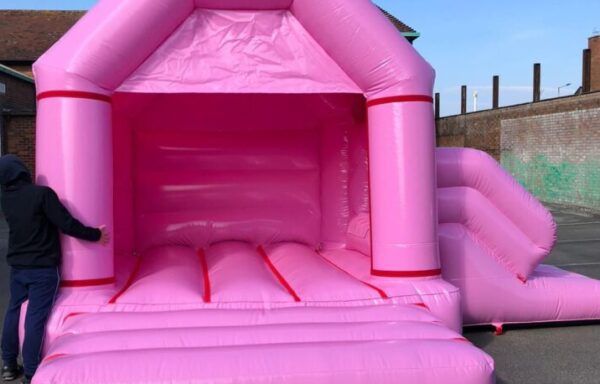 Pastel Pink Castle With Slide