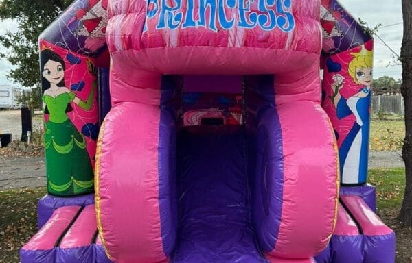 Princess 3D Castle With Slide